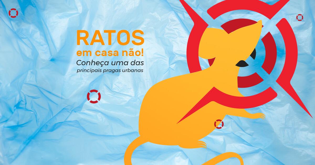 Espécies de Ratos - Conheça os Principais Tipos de Ratos